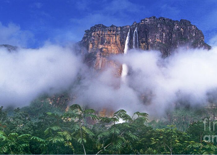 South America Greeting Card featuring the photograph Panorama Angel Falls Canaima National Park Veneziuela by Dave Welling