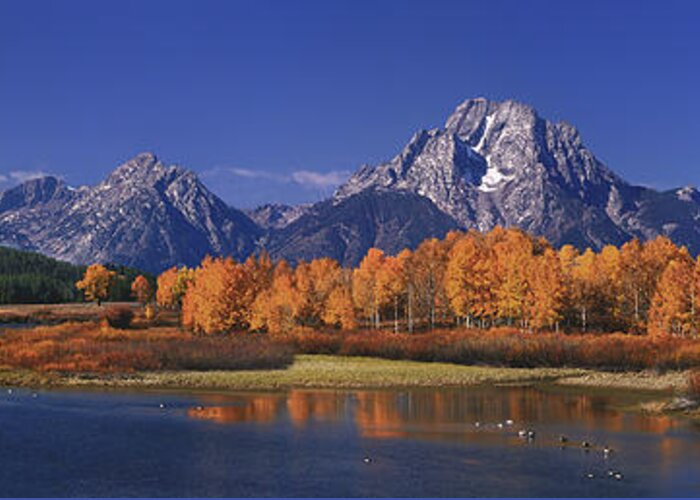 Grand Tetons National Park Greeting Card featuring the photograph Panorama Fall Morning Oxbow Bend Grand Tetons National Park Wyoming by Dave Welling