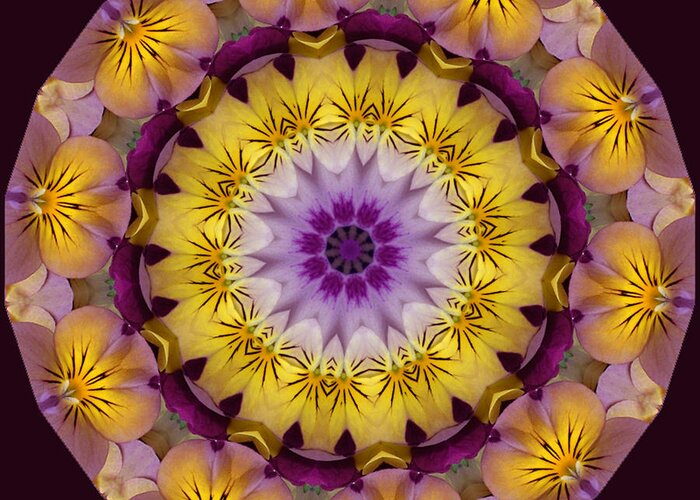 Kaleidoscope Greeting Card featuring the photograph Pansy Party by Barbara R MacPhail