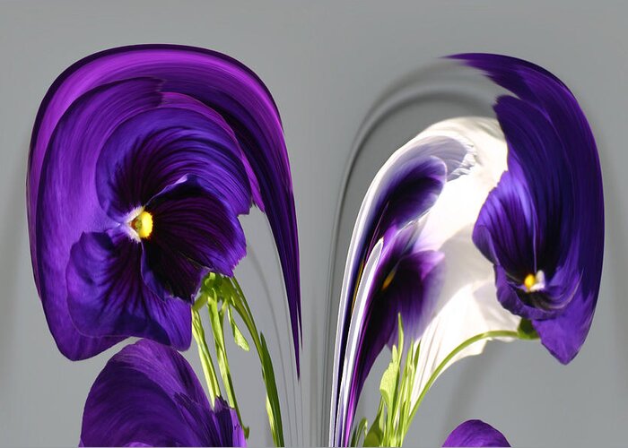 Flowers Greeting Card featuring the photograph Pansy Series 803 by Jim Baker