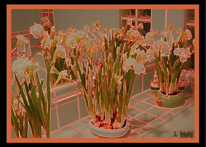 Paper Whites Greeting Card featuring the photograph Paper Whites by Lessandra Grimley