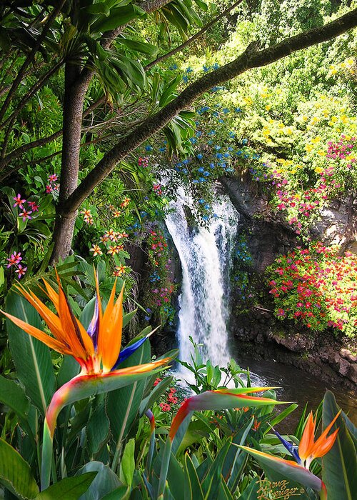 Paradise Falls Greeting Card featuring the photograph Paradise Falls by Doug Kreuger