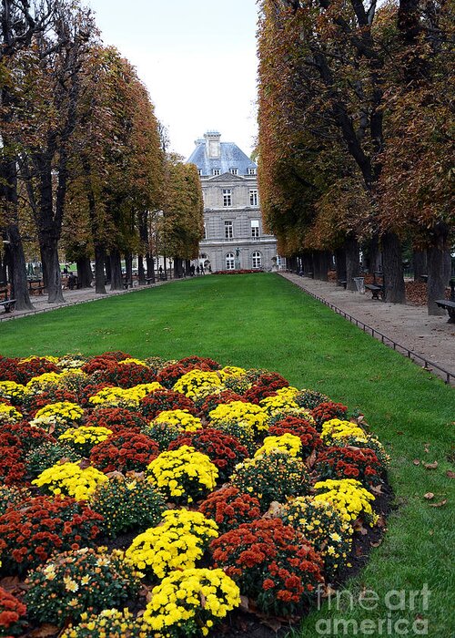 Paris Fall Autumn Photos Greeting Card featuring the photograph Paris Luxembourg Gardens and Trees - Luxembourg Gardens Parks Autumn - Paris Fall Autumn Colors by Kathy Fornal
