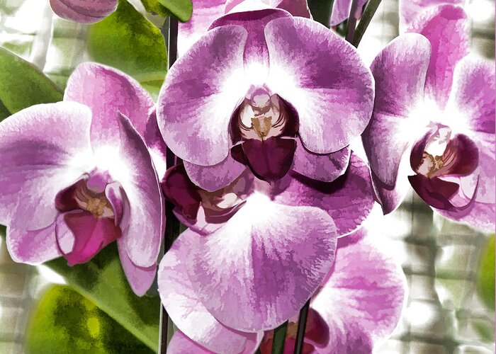 Poster Greeting Card featuring the digital art Pastel Orchids by Ray Shiu