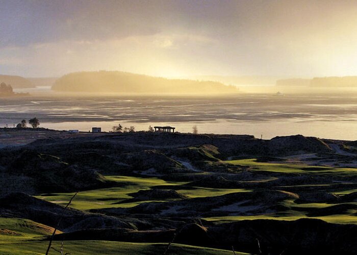Chambers Creek Greeting Card featuring the photograph Pastoral Symphony - Chambers Bay Golf Course by Chris Anderson