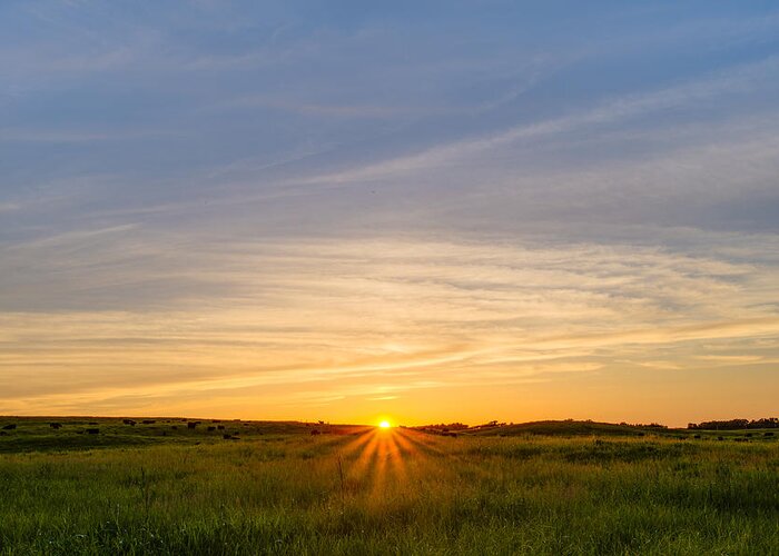 Rural Greeting Card featuring the photograph Pasture at Sunset by Adam Mateo Fierro