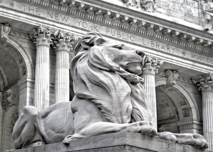New York Public Library Greeting Card featuring the photograph Patience The NYPL Lion by Susan Candelario