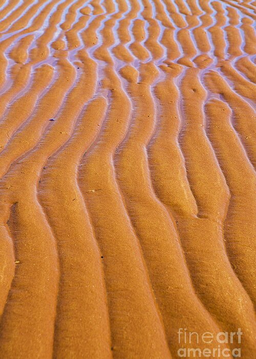 Sand Greeting Card featuring the photograph Patterns in the Sand at Low Tide by Diane Diederich
