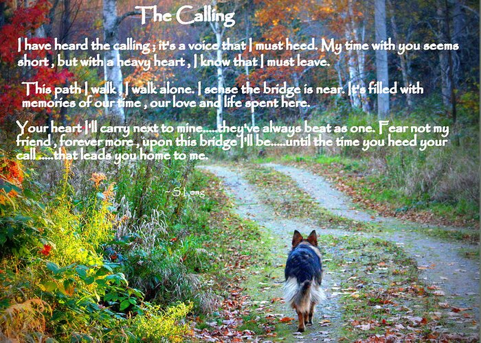 Quotes Greeting Card featuring the photograph Paw Prints The Calling by Sue Long