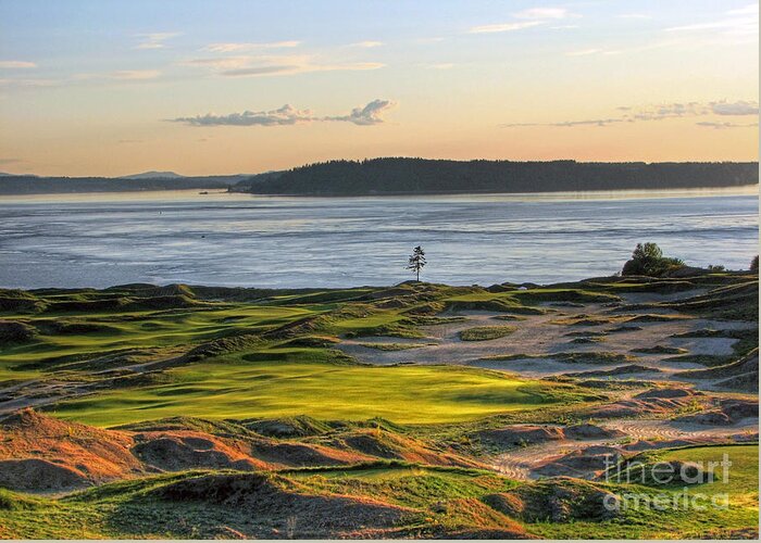 Chambers Creek Greeting Card featuring the photograph Pax - Chambers Bay Golf Course by Chris Anderson