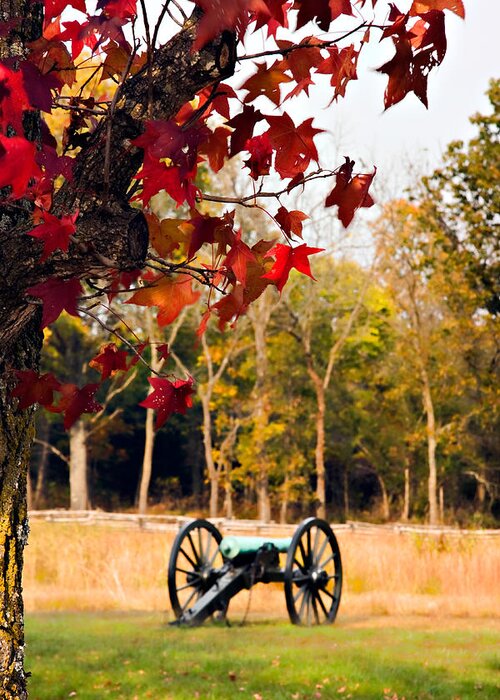Autumn Greeting Card featuring the photograph Pea Ridge Military Park by Lana Trussell