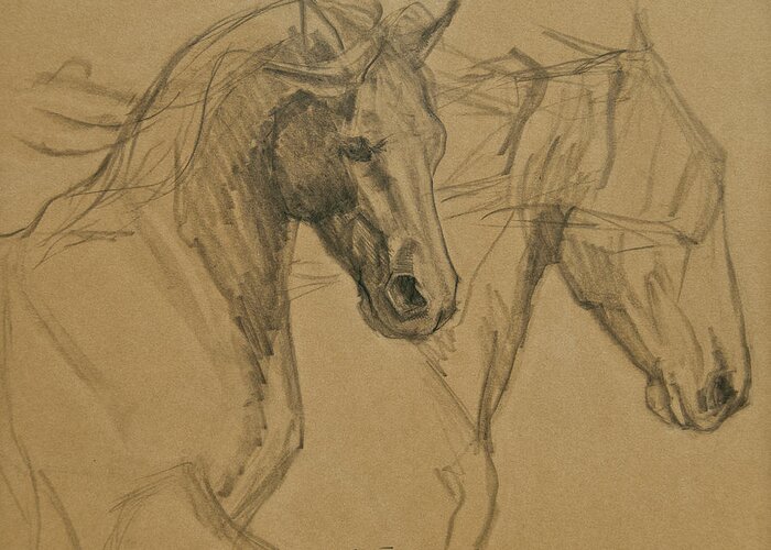 Horse Art Greeting Card featuring the drawing Peace And Justice Sketch by Jani Freimann