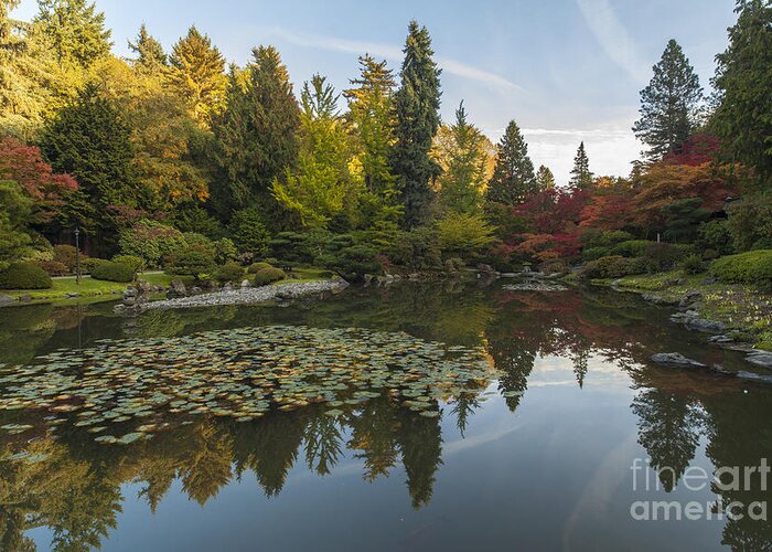 Japanese Garden Greeting Card featuring the photograph Peace in the Fall Garden by Mike Reid