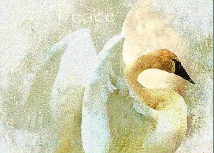 Bird Greeting Card featuring the photograph Peace by Kathy Bassett