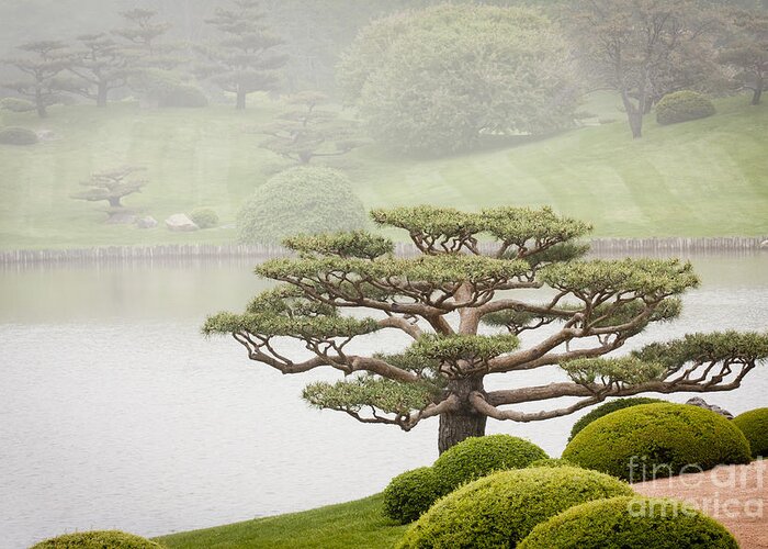 Japanese Garden Greeting Card featuring the photograph Peace by Patty Colabuono