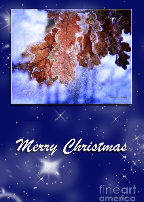Christmas Greeting Card featuring the photograph Peaceful Christmas by Randi Grace Nilsberg