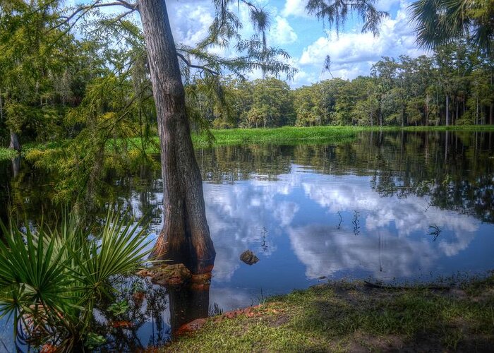 Florida Greeting Card featuring the photograph Peaceful Florida by Timothy Lowry