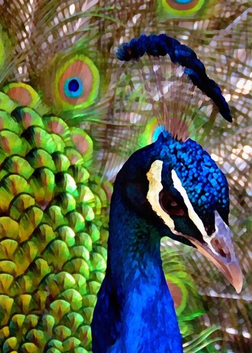 Peacock Greeting Card featuring the photograph Peacock Pride by Angelina Tamez