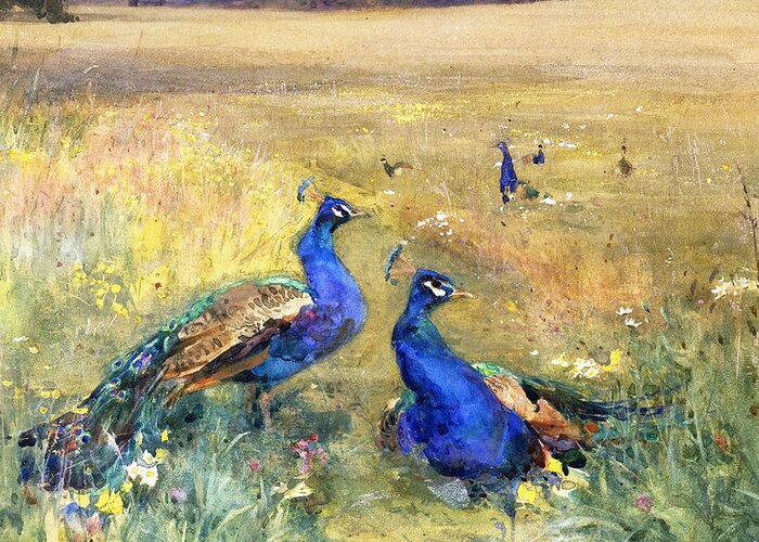 Peacock Greeting Card featuring the painting Peacocks in a Field by Mildred Anne Butler