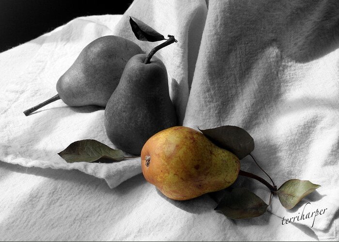 Pears Greeting Card featuring the photograph Pears - A Still Life by Terri Harper