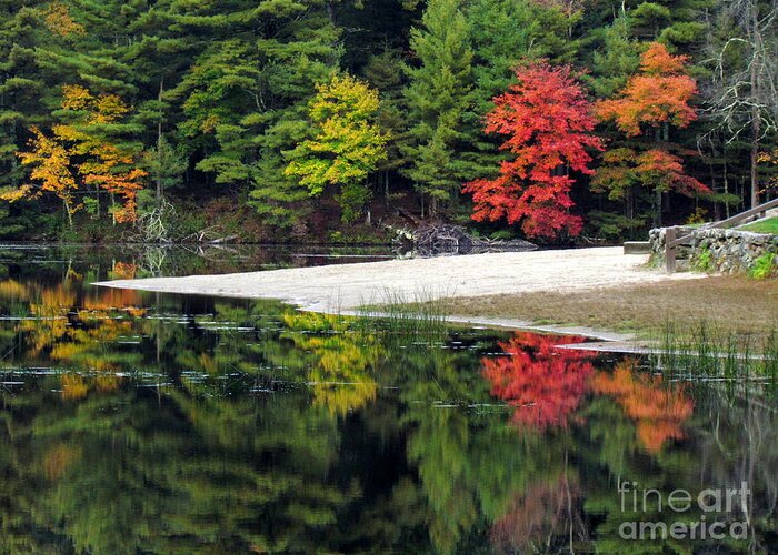 Pond Greeting Card featuring the photograph Peck Pond Autumn Reflections IX by Lili Feinstein