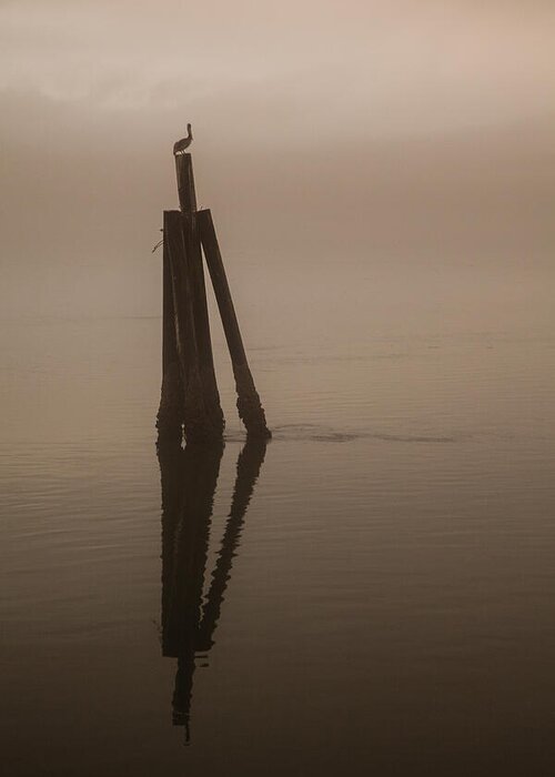 Foggy Greeting Card featuring the photograph Pelican on a Stick by Monte Arnold