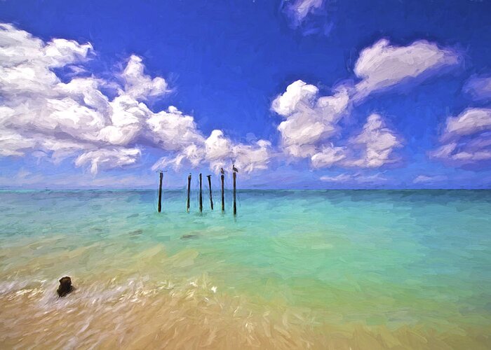 Aruba Greeting Card featuring the painting Pelicans of Aruba by David Letts