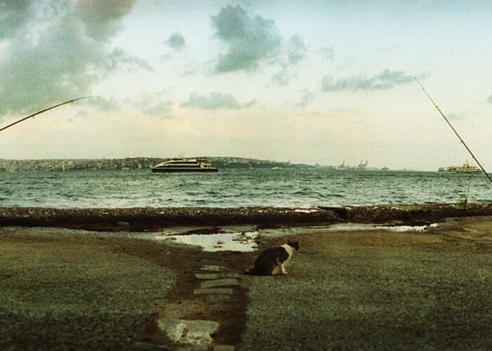 Photography Greeting Card featuring the photograph People Fishing In The Bosphorus Strait by Panoramic Images