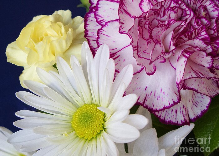 Flower Greeting Card featuring the photograph Perky Posies by Ann Horn