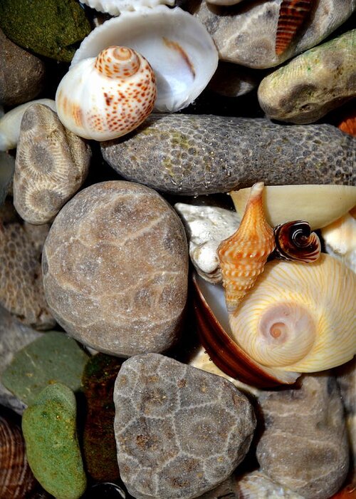 Stone Greeting Card featuring the photograph Petoskey Stones ll by Michelle Calkins