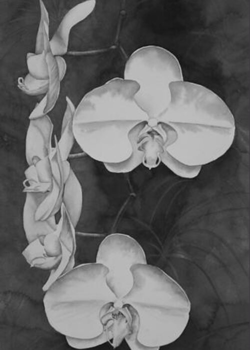 Black And White Greeting Card featuring the painting Phalaenopsis Beauty in Contrast by Heather Gallup