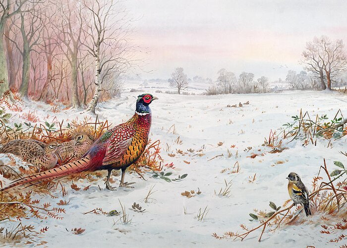 Pheasant Greeting Card featuring the painting Pheasant And Bramblefinch In The Snow by Carl Donner