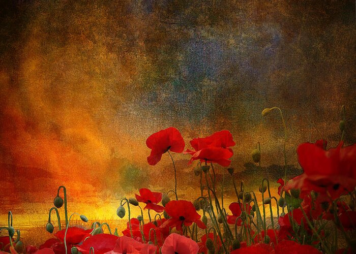 Poppies Greeting Card featuring the photograph Phil by Jeff Burgess