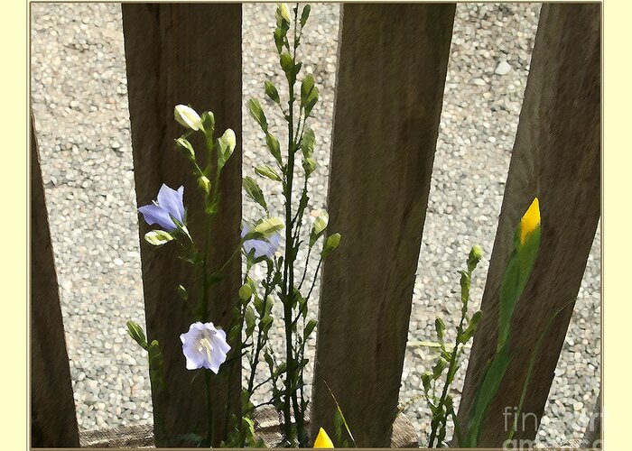 Picket Fence Greeting Card featuring the digital art Picket Fence by Victoria Harrington