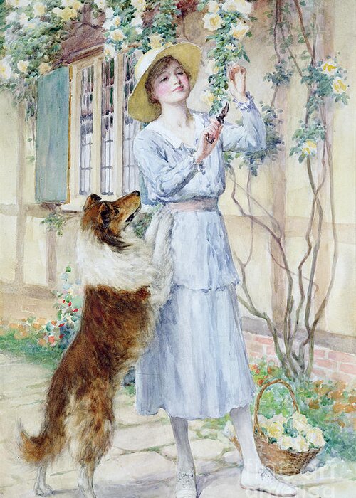 Rose Greeting Card featuring the painting Picking Roses by William Henry Margetson
