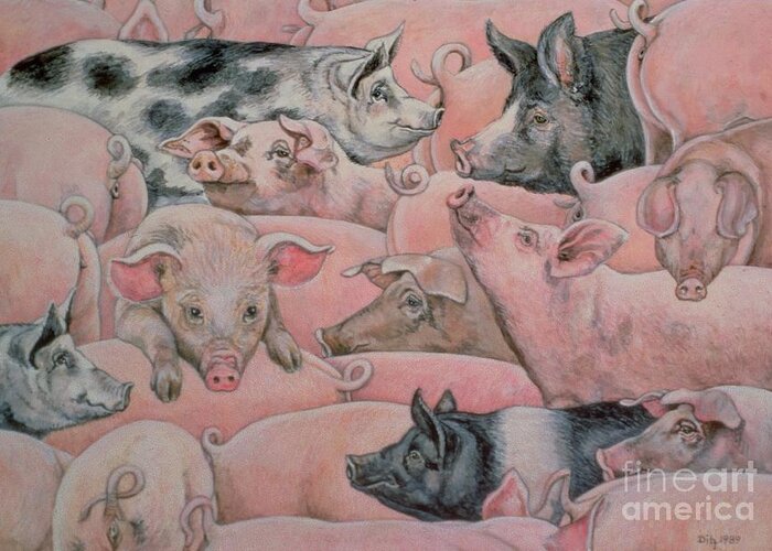 Pig Greeting Card featuring the painting Pig Spread by Ditz