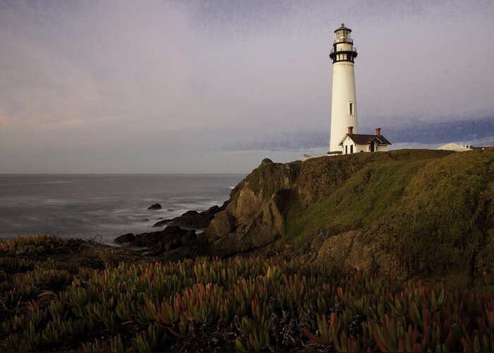 Pigeon Point Lighthouse Greeting Card featuring the photograph Pigeon Point Lighthouse by Jim Snyder