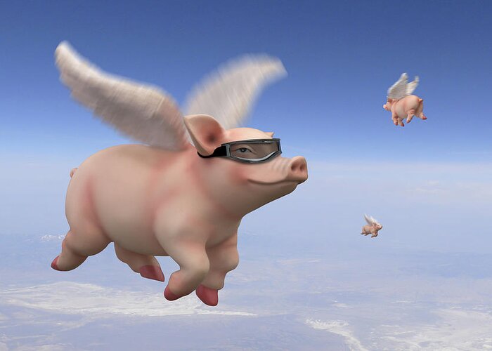 Pigs Fly Greeting Card featuring the photograph Pigs Fly 1 by Mike McGlothlen