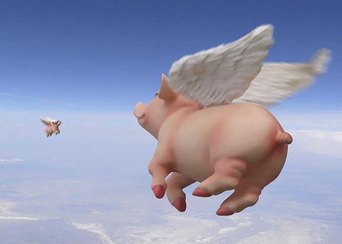 Pigs Fly Greeting Card featuring the photograph Pigs Fly 2 by Mike McGlothlen