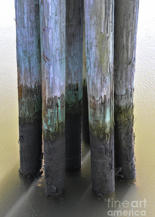 Pilings Greeting Card featuring the photograph Salt Water Piling by Dale Powell