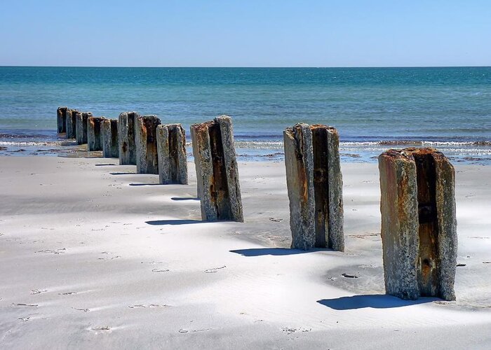 Beach Greeting Card featuring the photograph Pilings by Janice Drew