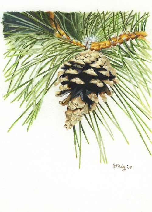 Pinecone Greeting Card featuring the drawing Pincone by Rosellen Westerhoff