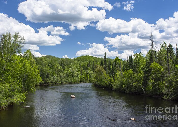 River Scene Greeting Card featuring the photograph Pine River by Dan Hefle