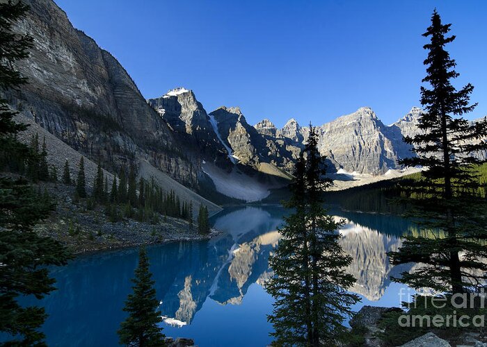 Alberta Greeting Card featuring the photograph Pine trees at Moraine Lake by Oscar Gutierrez