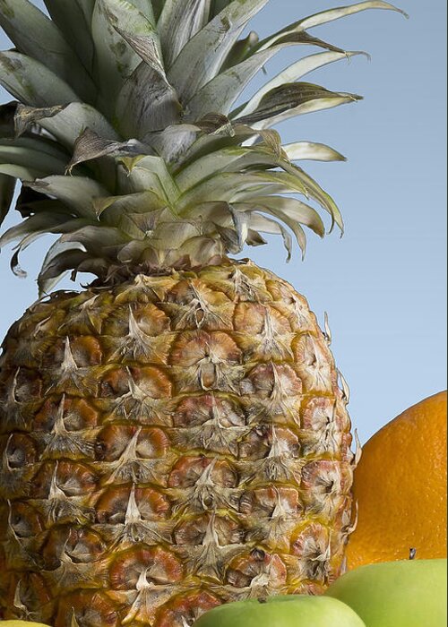 Pineapple Greeting Card featuring the photograph Pineapple and Friends by Mark McKinney