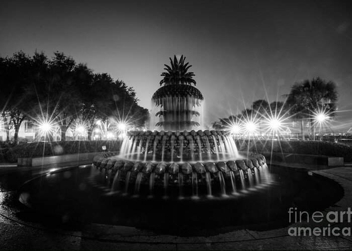 Charleston Greeting Card featuring the photograph Pineapple Fountain at Night by Sam Hymas