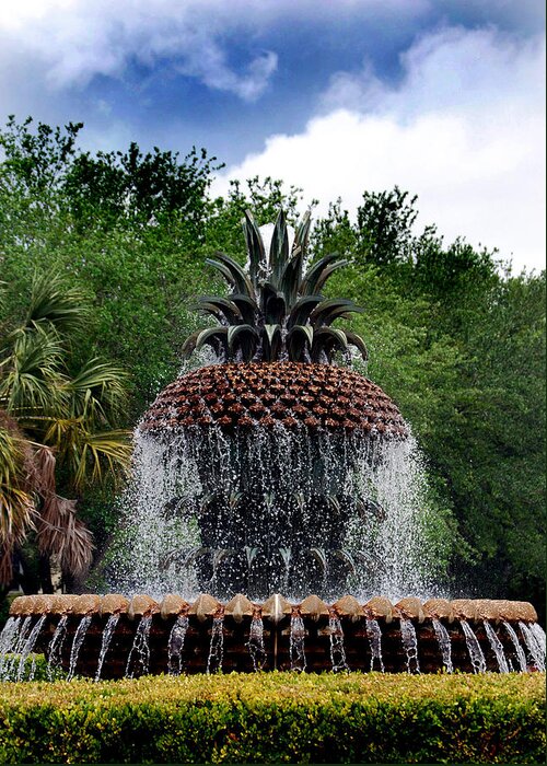 Park Greeting Card featuring the photograph Pineapple Fountain by Skip Willits