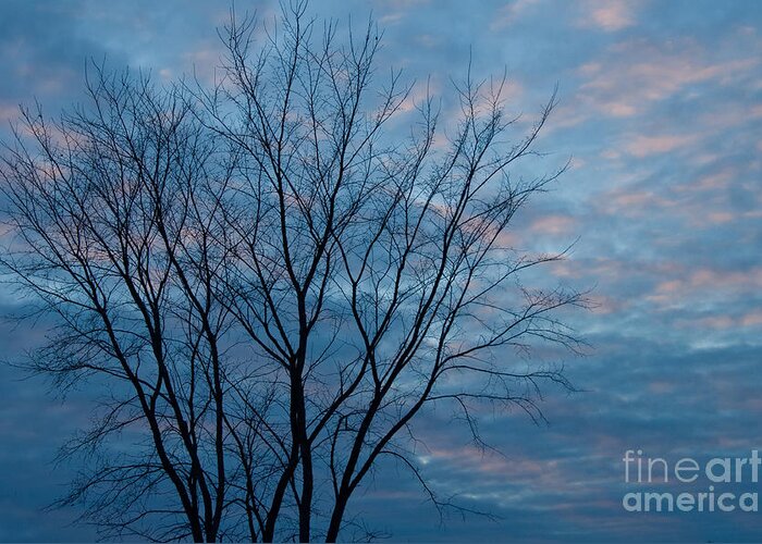 Sunset Sky Greeting Card featuring the photograph Pink and Blue by Cheryl Baxter