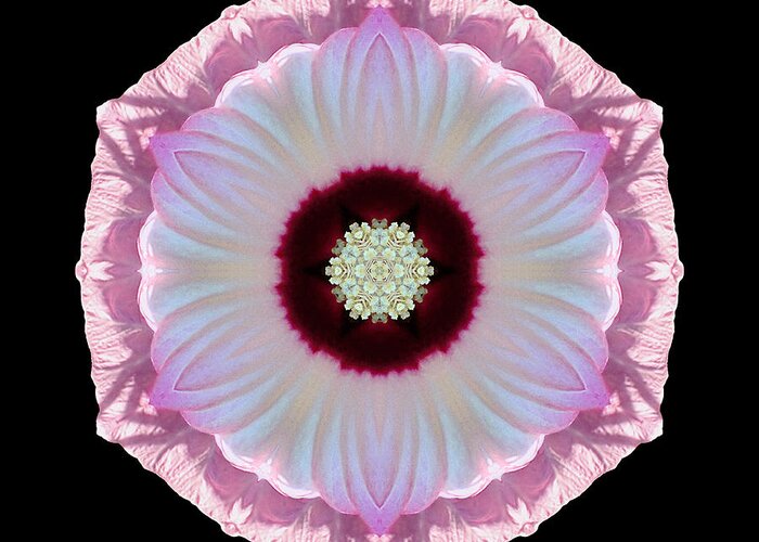 Flower Greeting Card featuring the photograph Pink and White Hibiscus Moscheutos VII Flower Mandala by David J Bookbinder