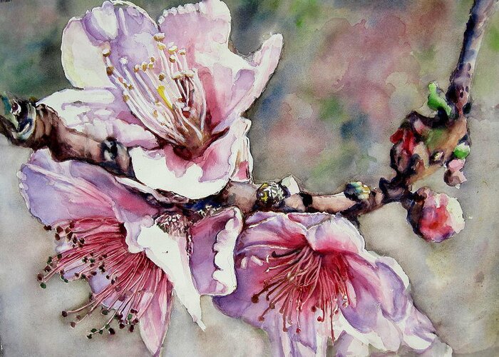  Floral . Pink . Branches . Nature  Macro Greeting Card featuring the painting Pink Magnolias by June Conte Pryor